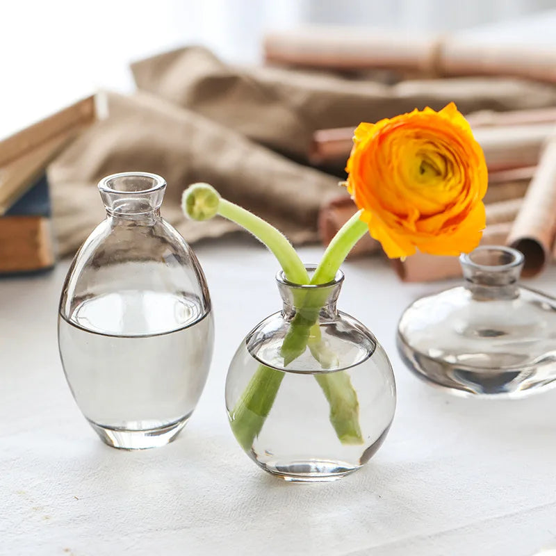 Classic Creative Vase Top Quality Glass Transparent Hydroponic Vase Living Room Flower Vase Home Decoration