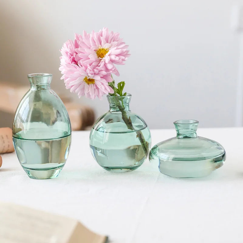 Classic Creative Vase Top Quality Glass Transparent Hydroponic Vase Living Room Flower Vase Home Decoration