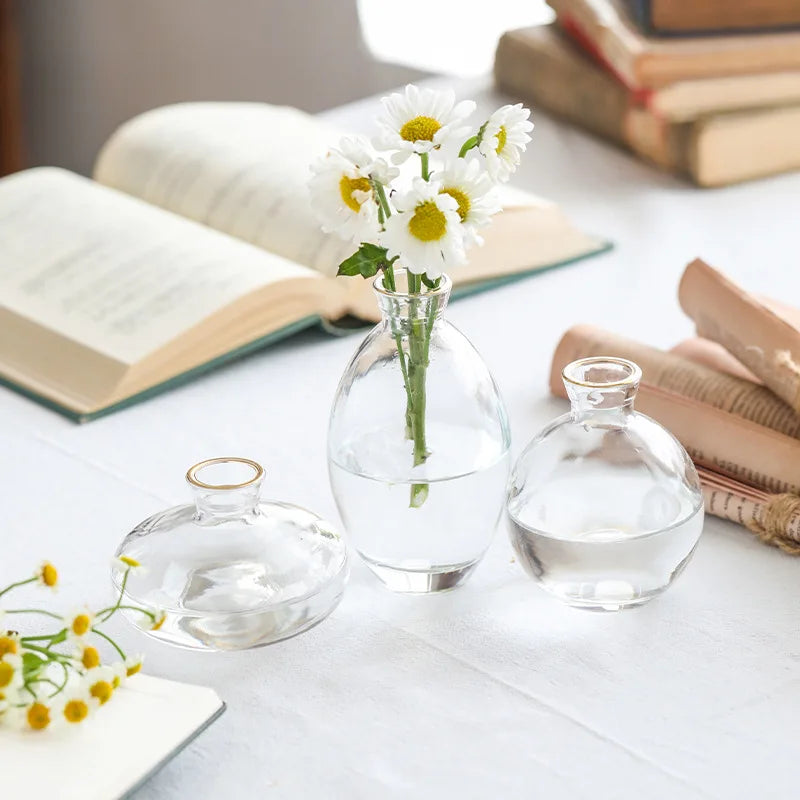 Classic Creative Vase Top Quality Glass Transparent Hydroponic Vase Living Room Flower Vase Home Decoration