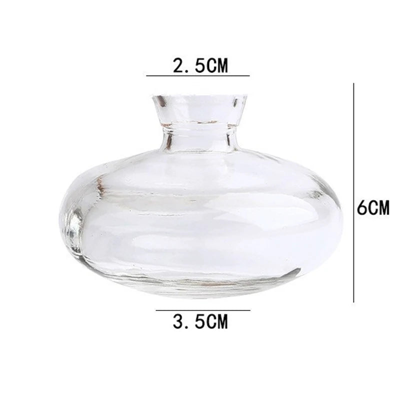 Classic Creative Vase Top Quality Glass Transparent Hydroponic Vase Living Room Flower Vase Home Decoration