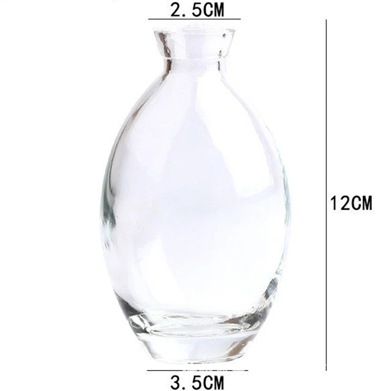 Classic Creative Vase Top Quality Glass Transparent Hydroponic Vase Living Room Flower Vase Home Decoration