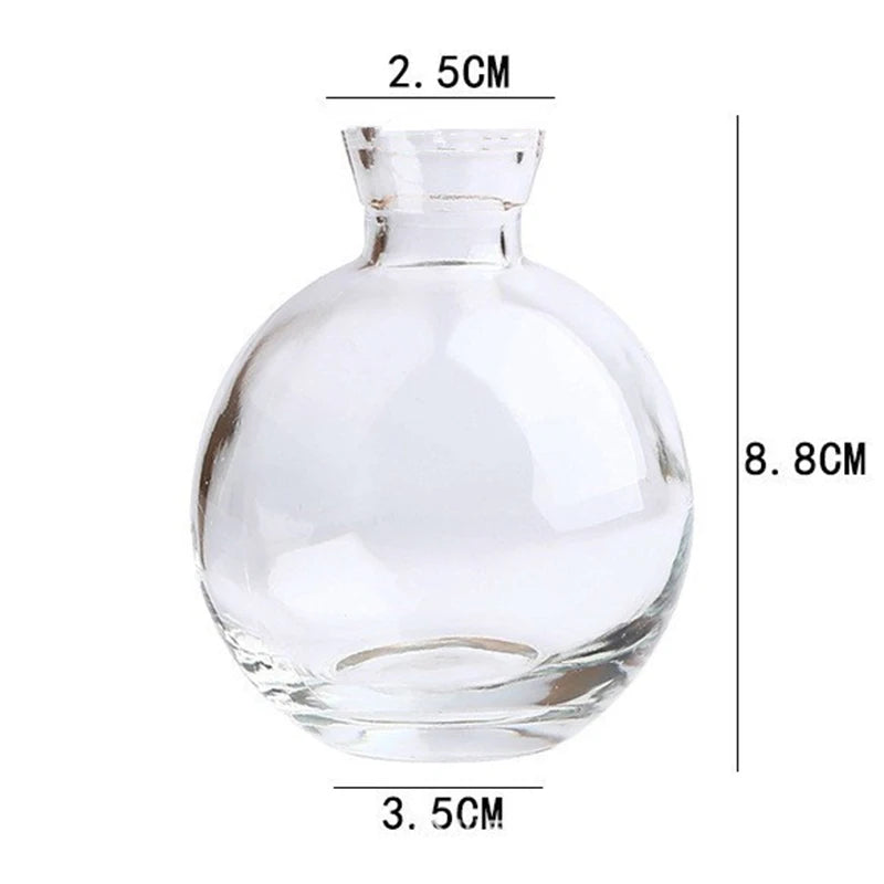 Classic Creative Vase Top Quality Glass Transparent Hydroponic Vase Living Room Flower Vase Home Decoration