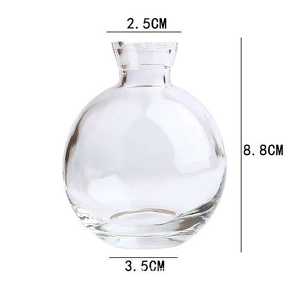Classic Creative Vase Top Quality Glass Transparent Hydroponic Vase Living Room Flower Vase Home Decoration